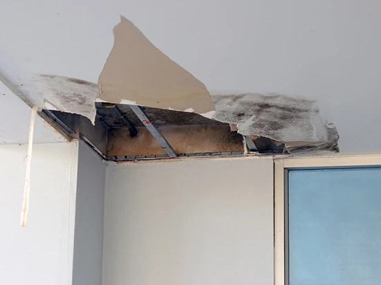 Efficient Roof Leak Repair Services in Hutto TX